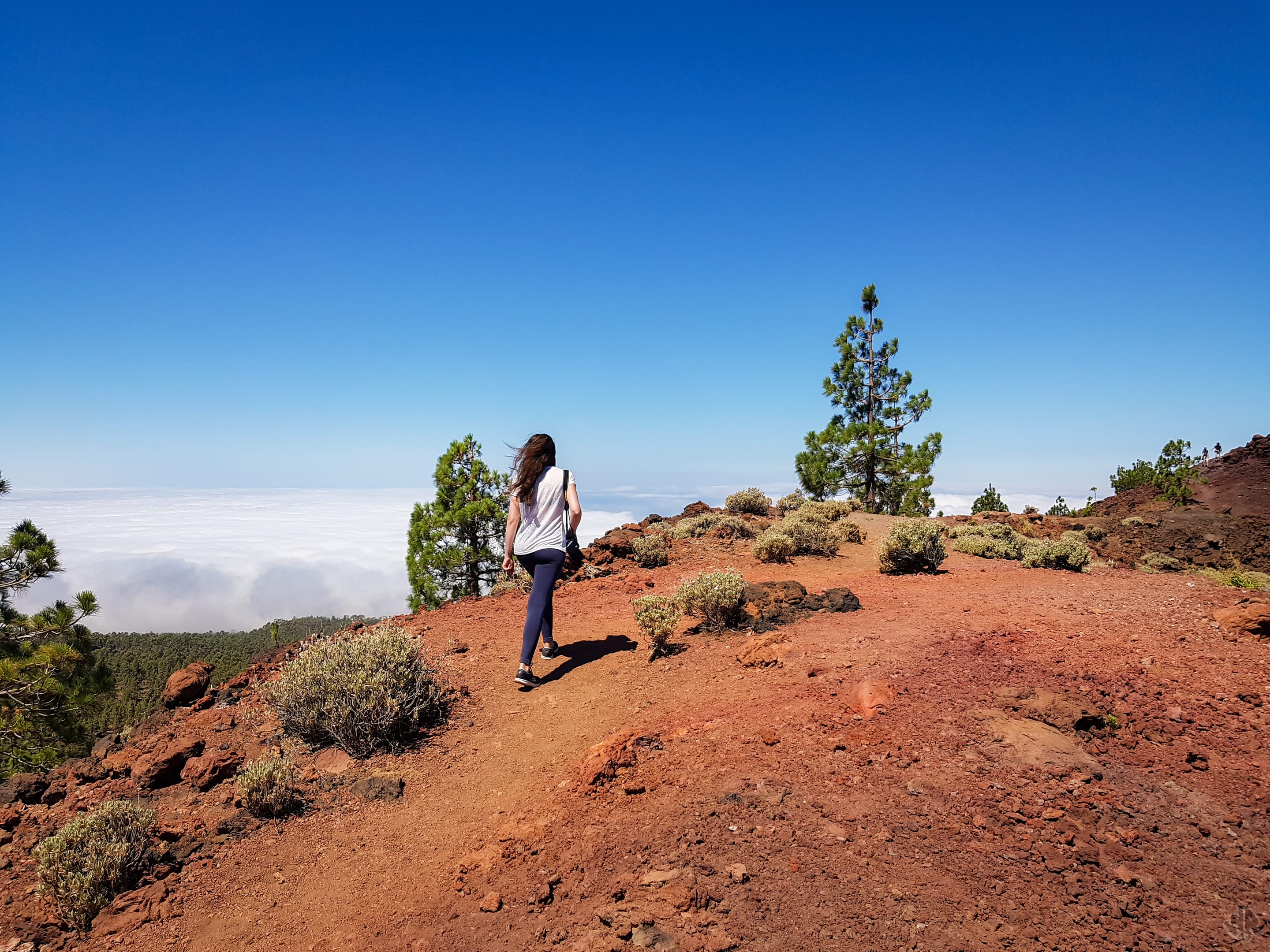 Canary Islands